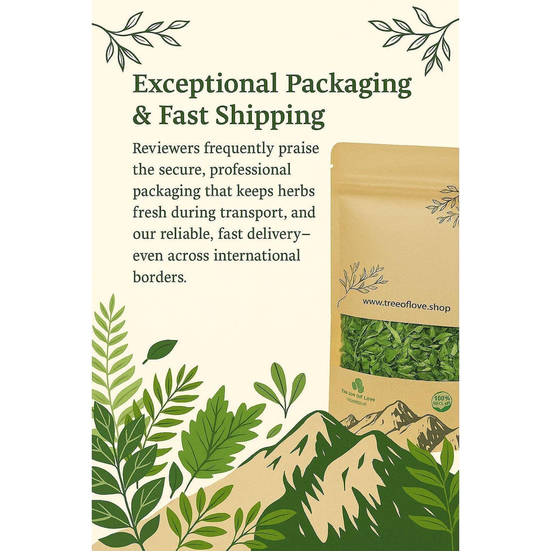 Gymnema Sylvestre Powder or Cuts