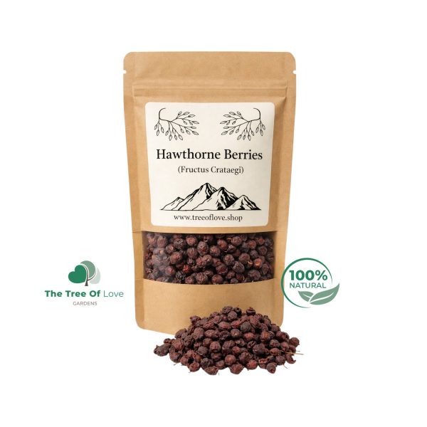 Hawthorn Berry