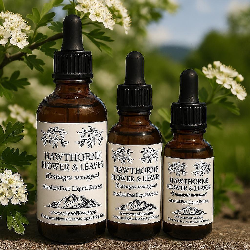 Hawthorn Glycerite