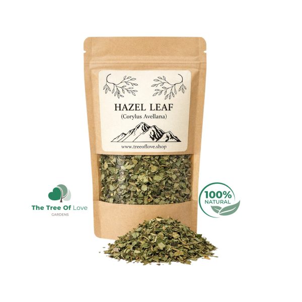 Hazel Leaf