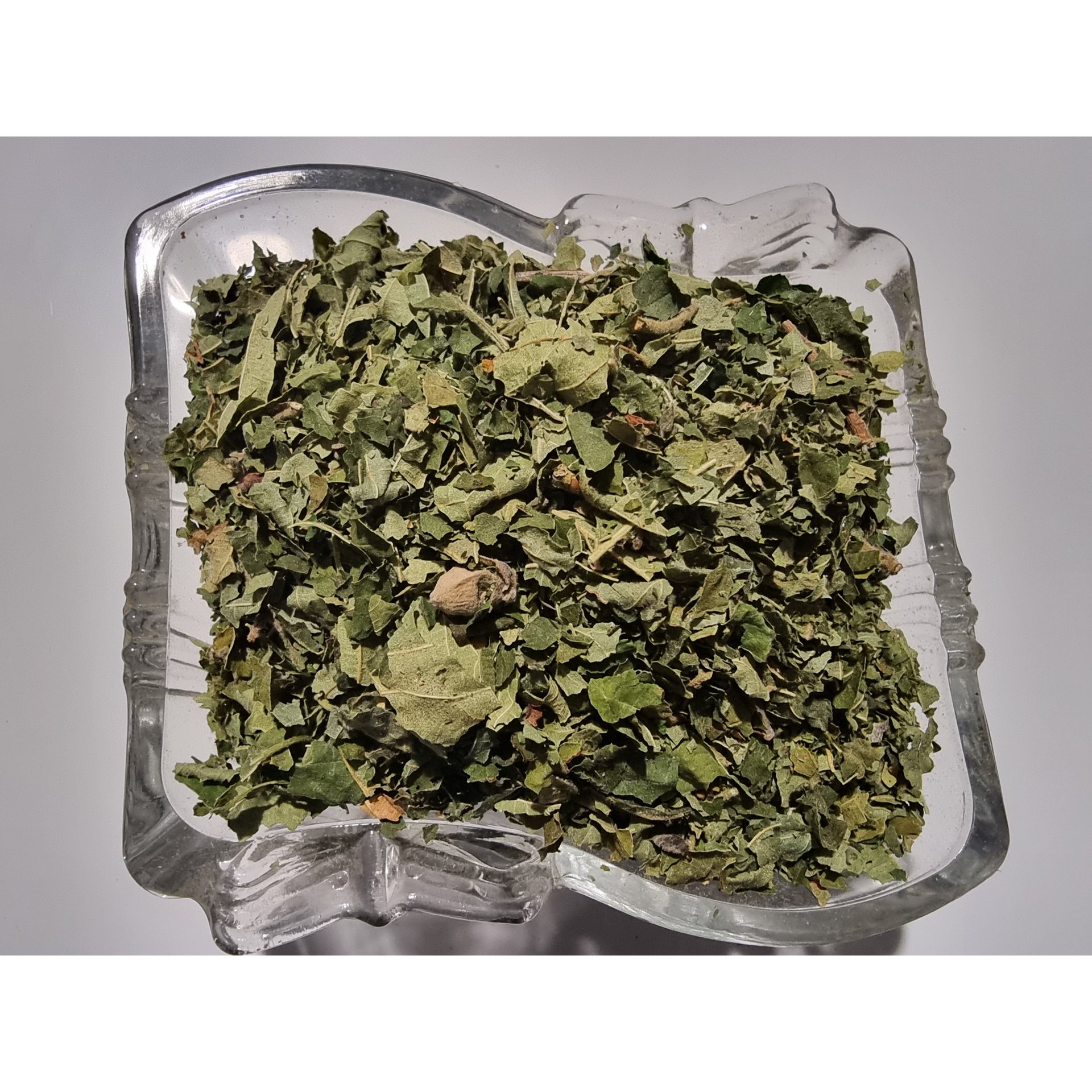 Hazel Leaf