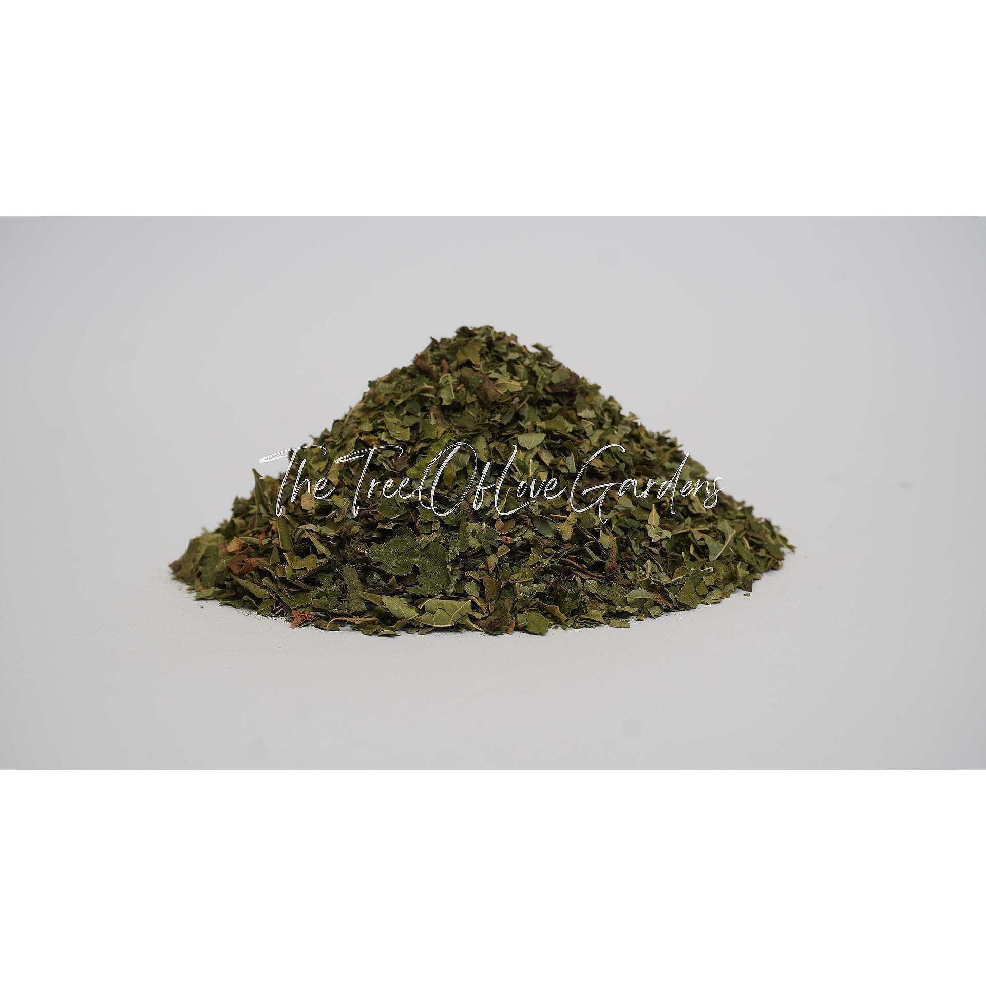 Hazel Leaf