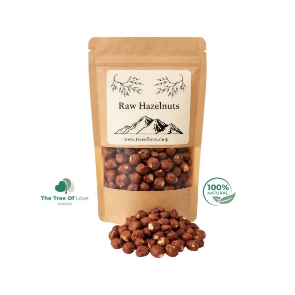 Raw Hazelnuts - Corylus avellana
