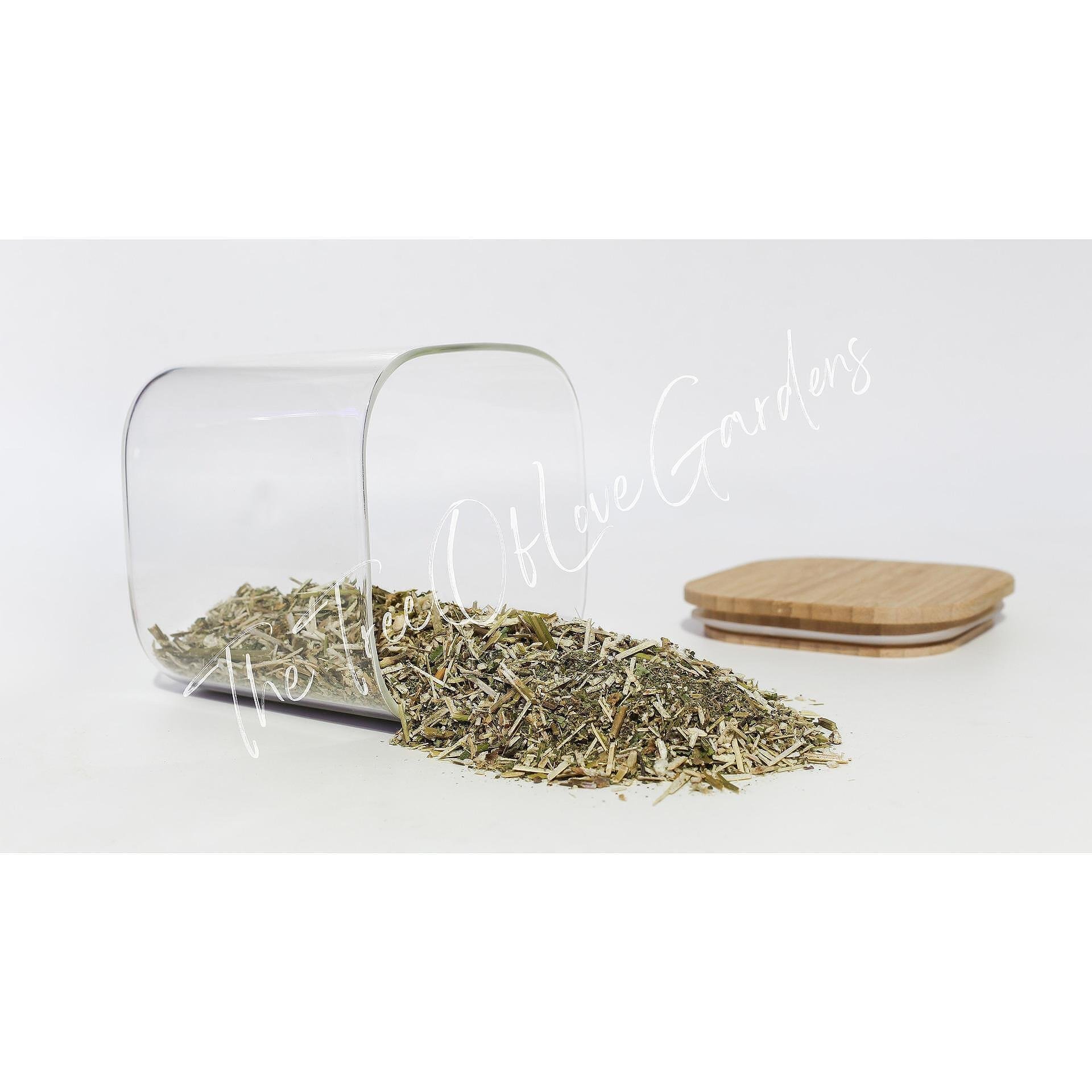 Hemp Nettle Herb
