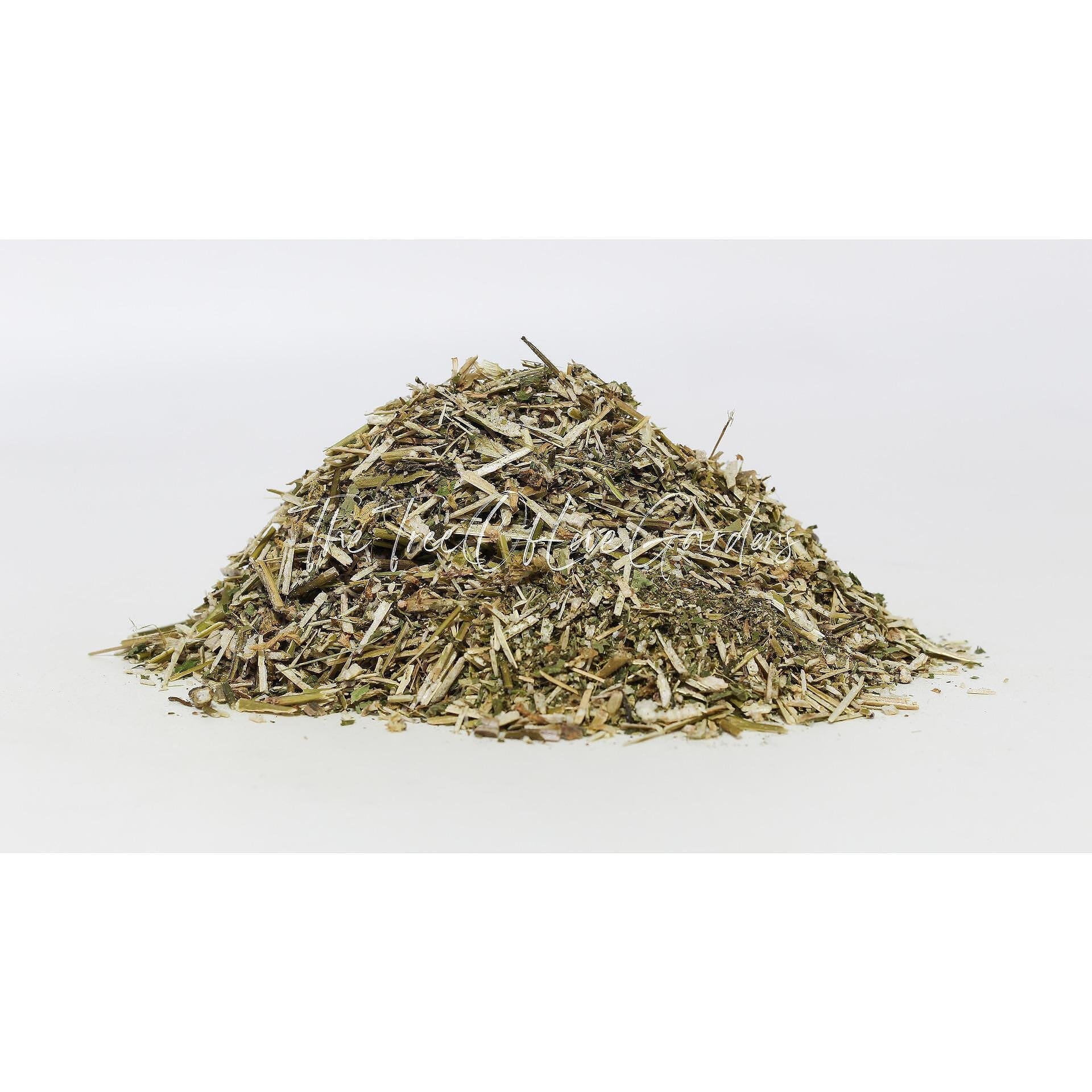 Hemp Nettle Herb
