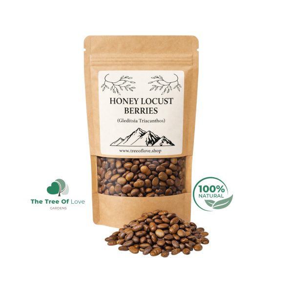 Honey Locust Pods
