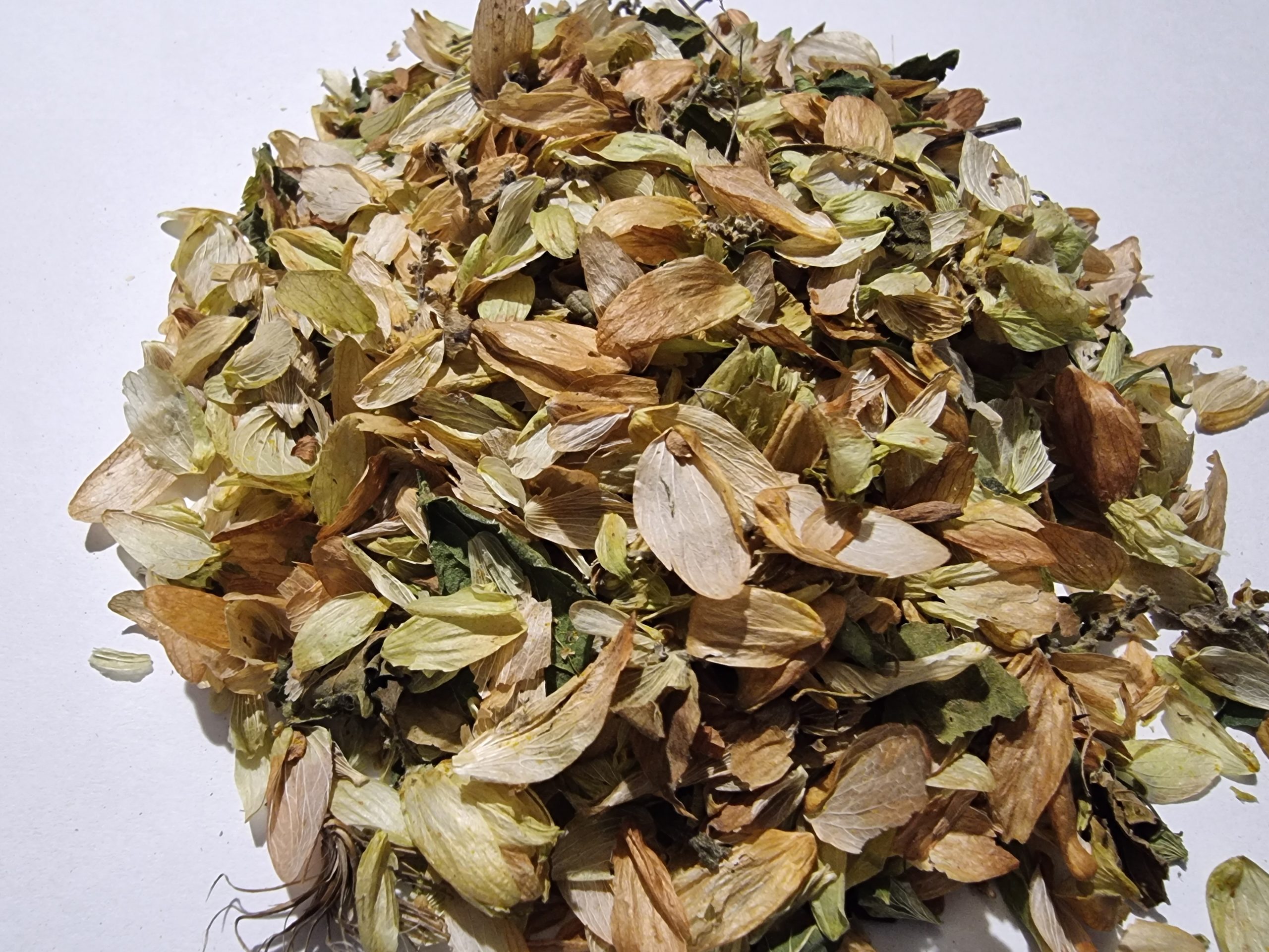 Hops Flowers Tea