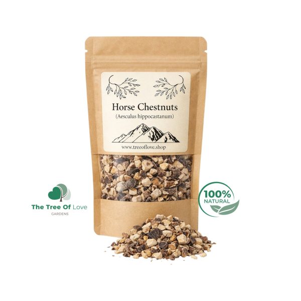 Horse Chestnuts Cuts