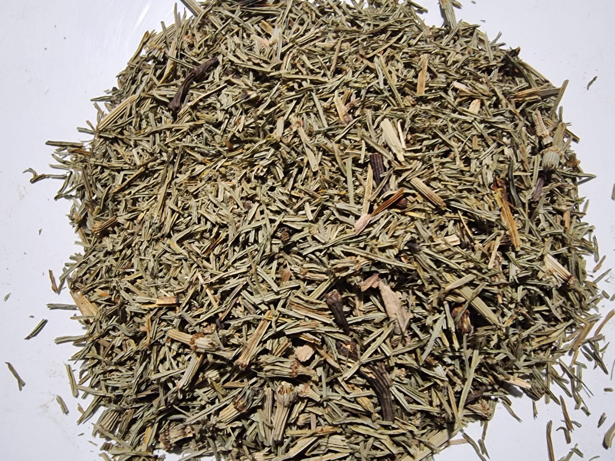 Horsetail Herb