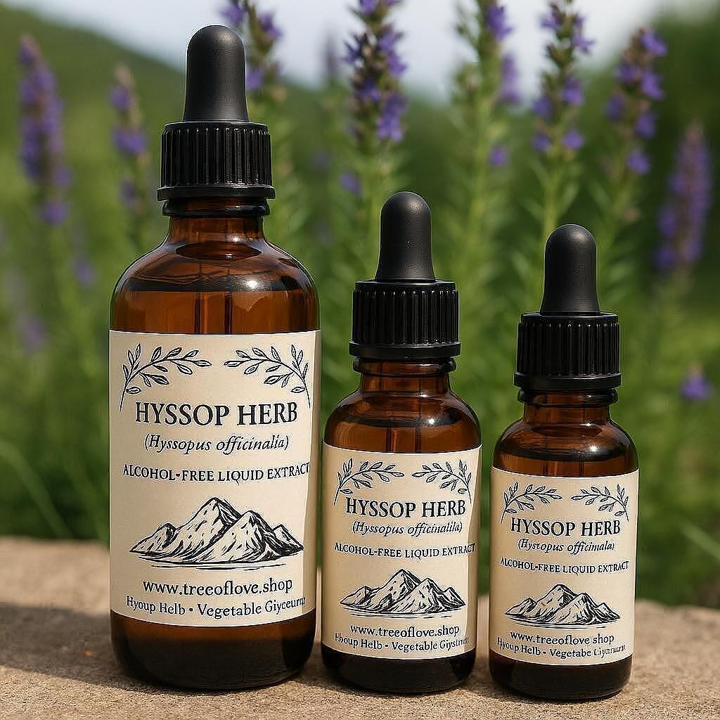 Hyssop Glycerite