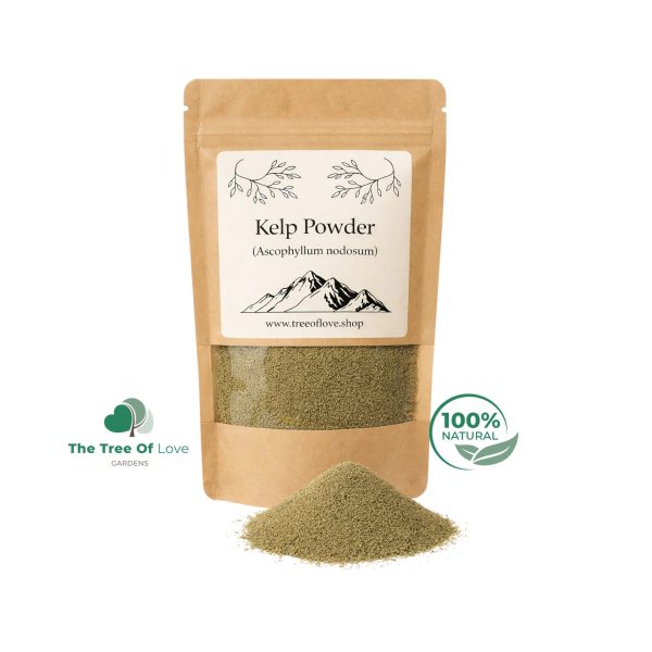 Kelp Powder
