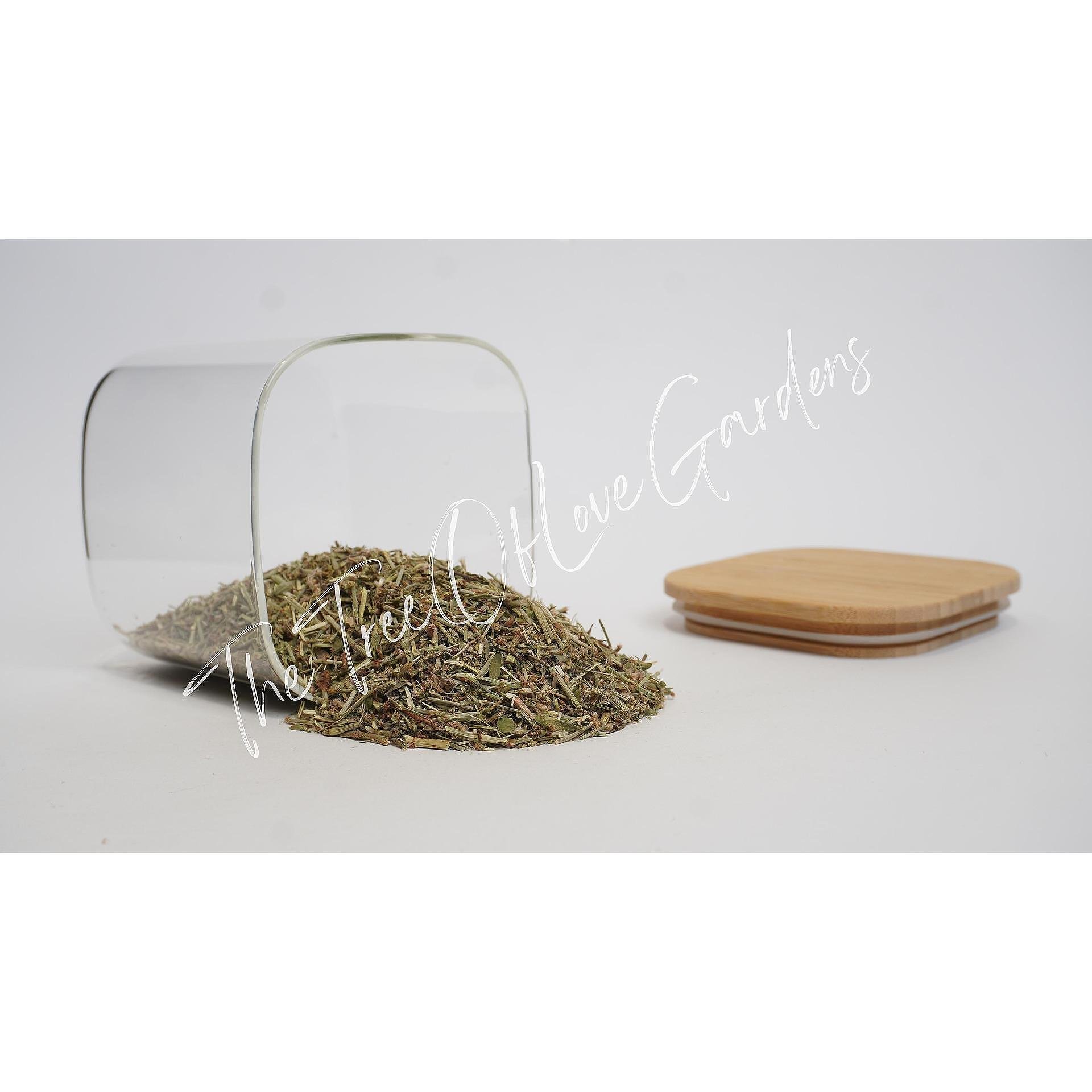 Knotgrass Herb