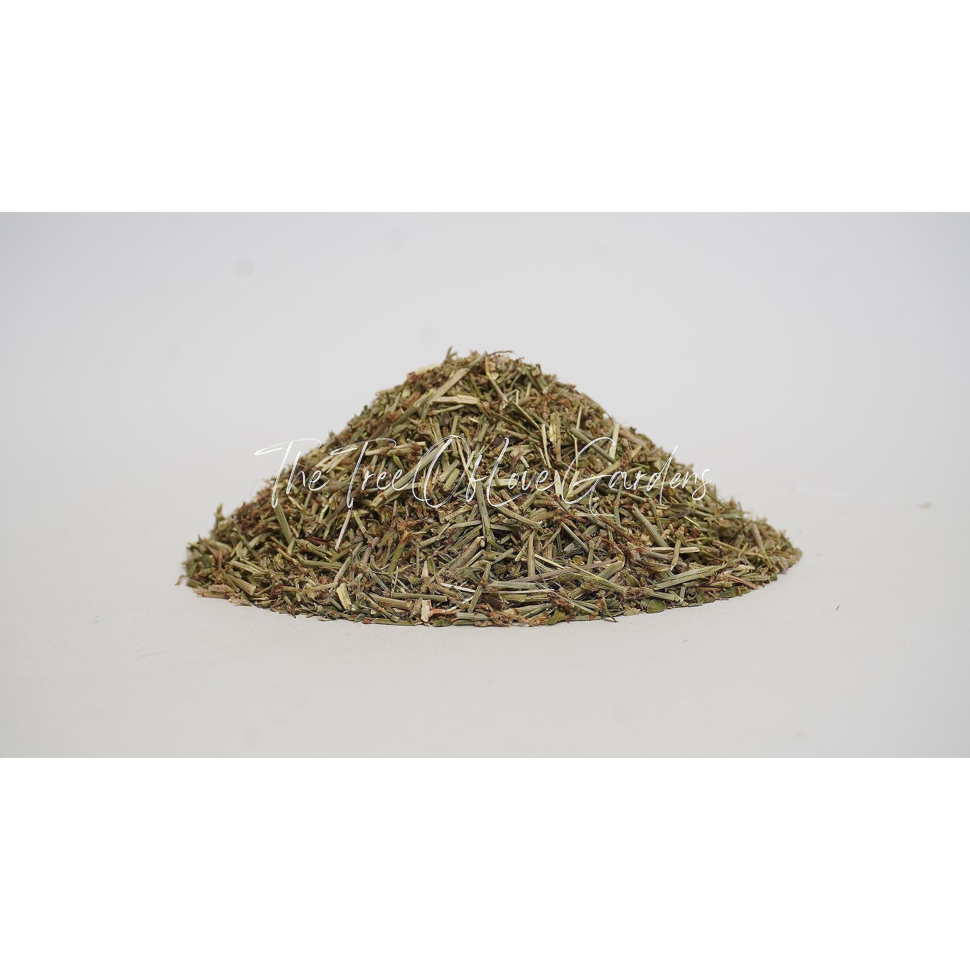 Knotgrass Herb