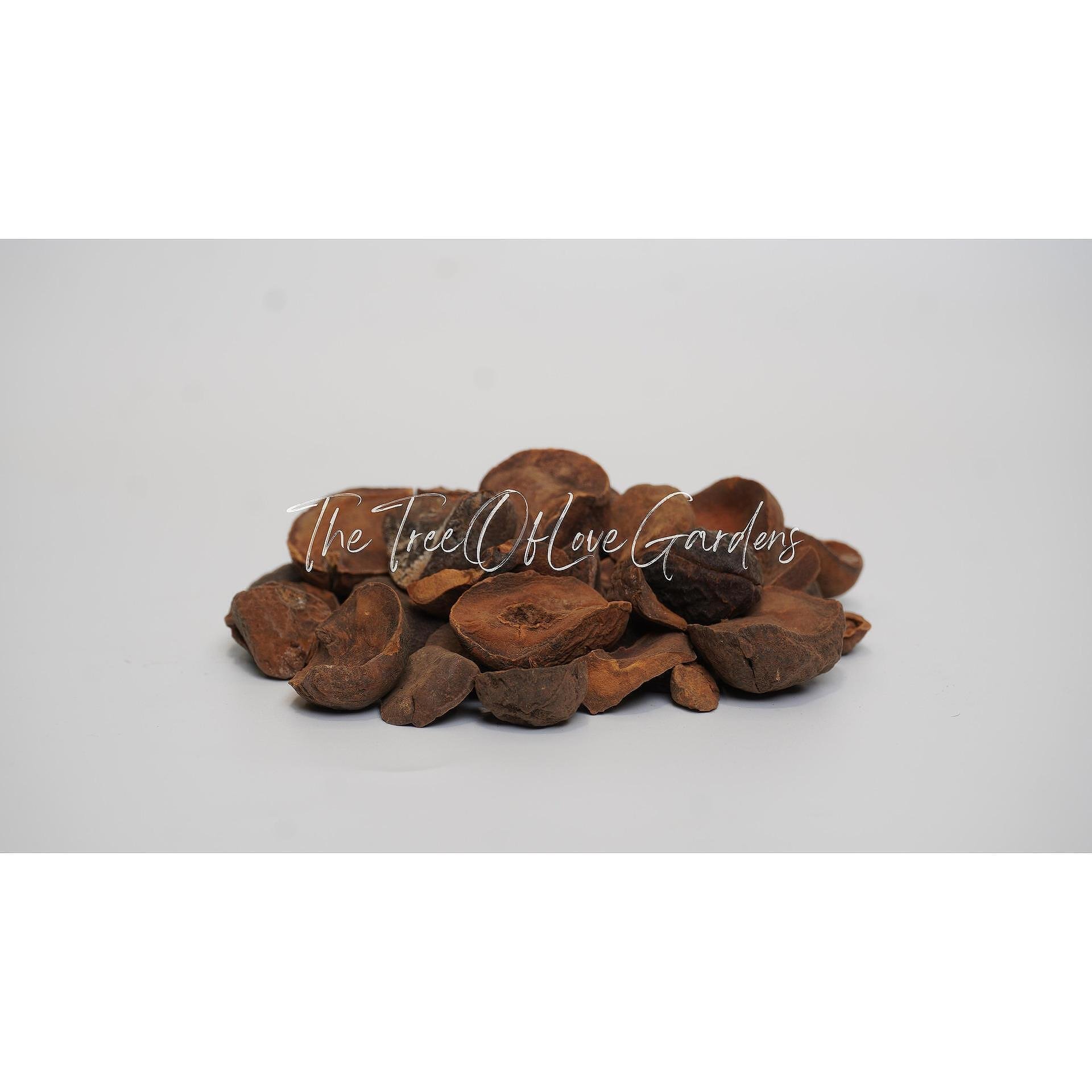 Kola Nuts
