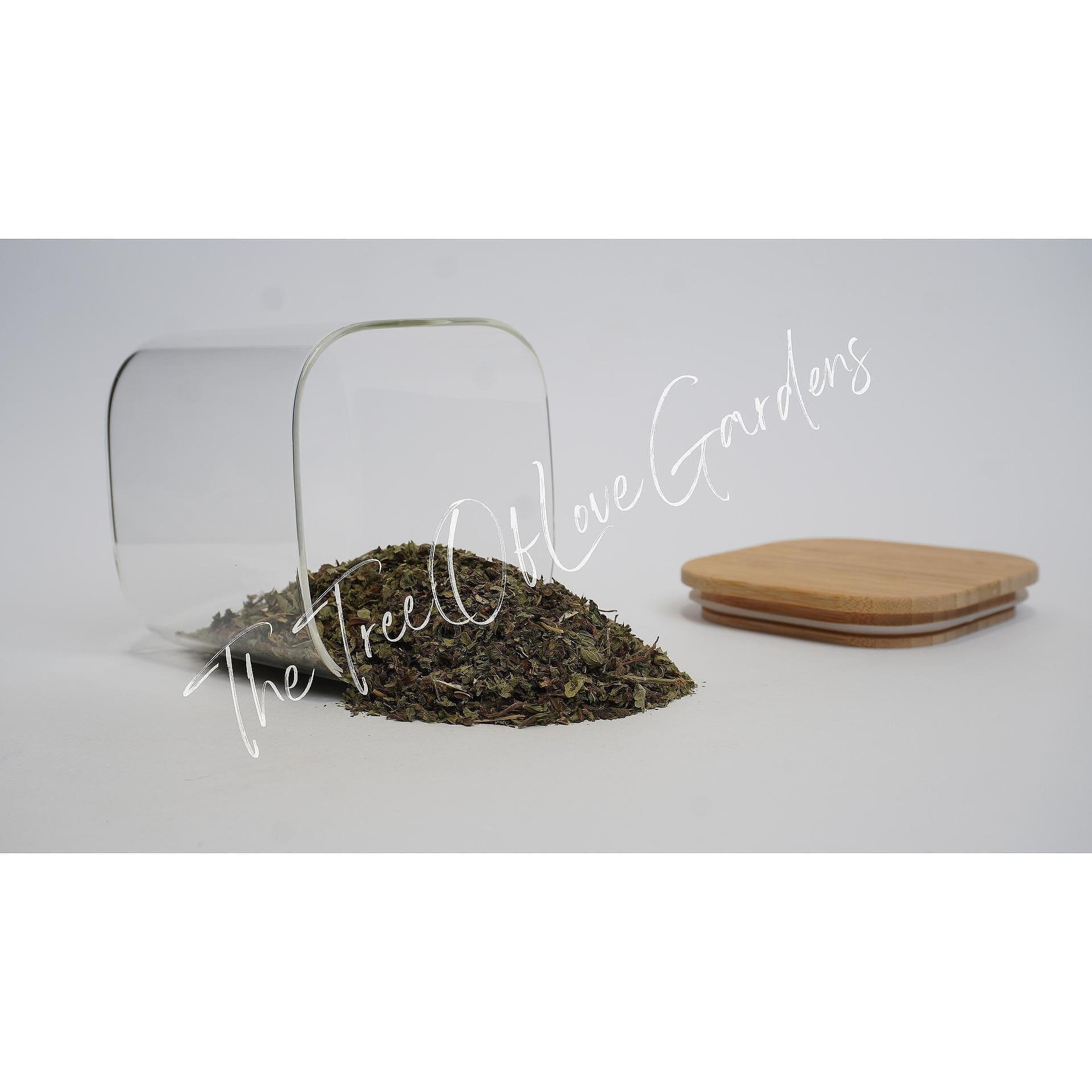 Lemon Balm