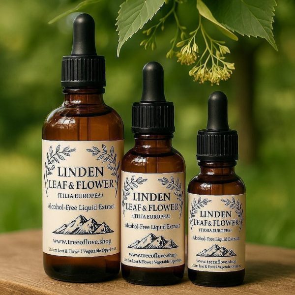 Linden Flower Glycerite
