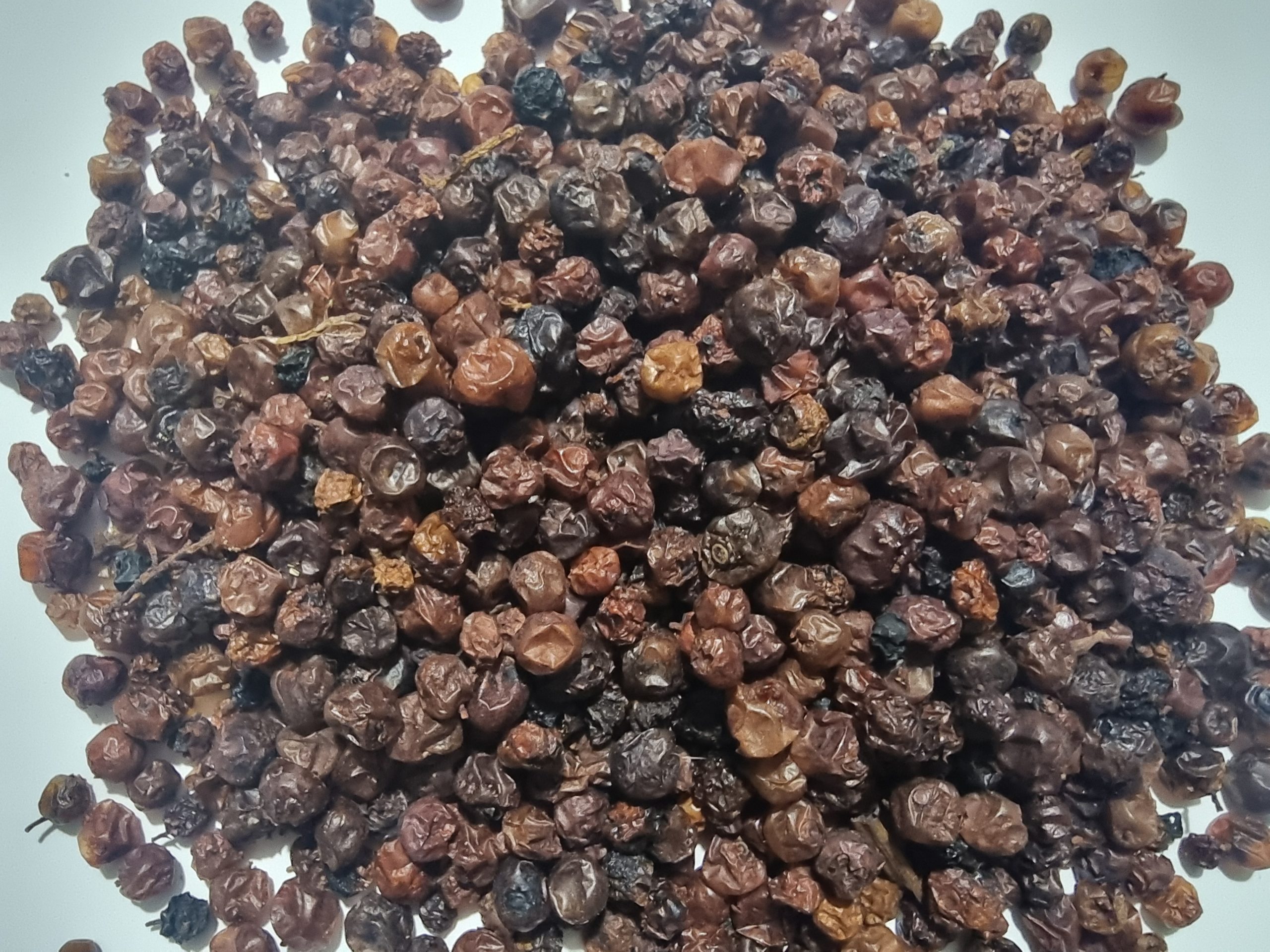 Lingonberry Berries