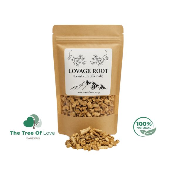 Lovage Root