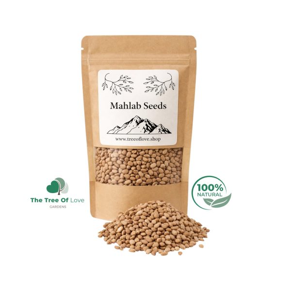 Mahlab Seeds or Powder