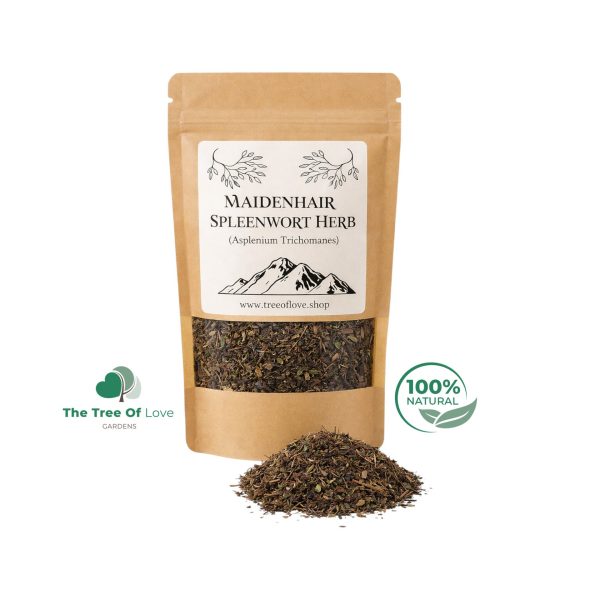 Maidenhair Spleenwort Herb