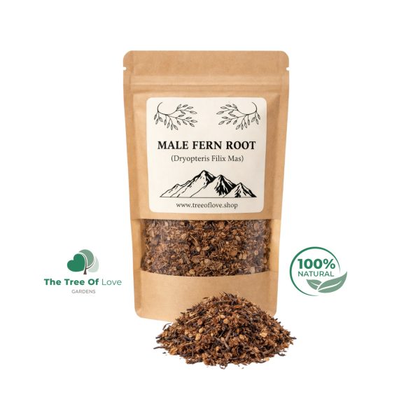Male Fern Root