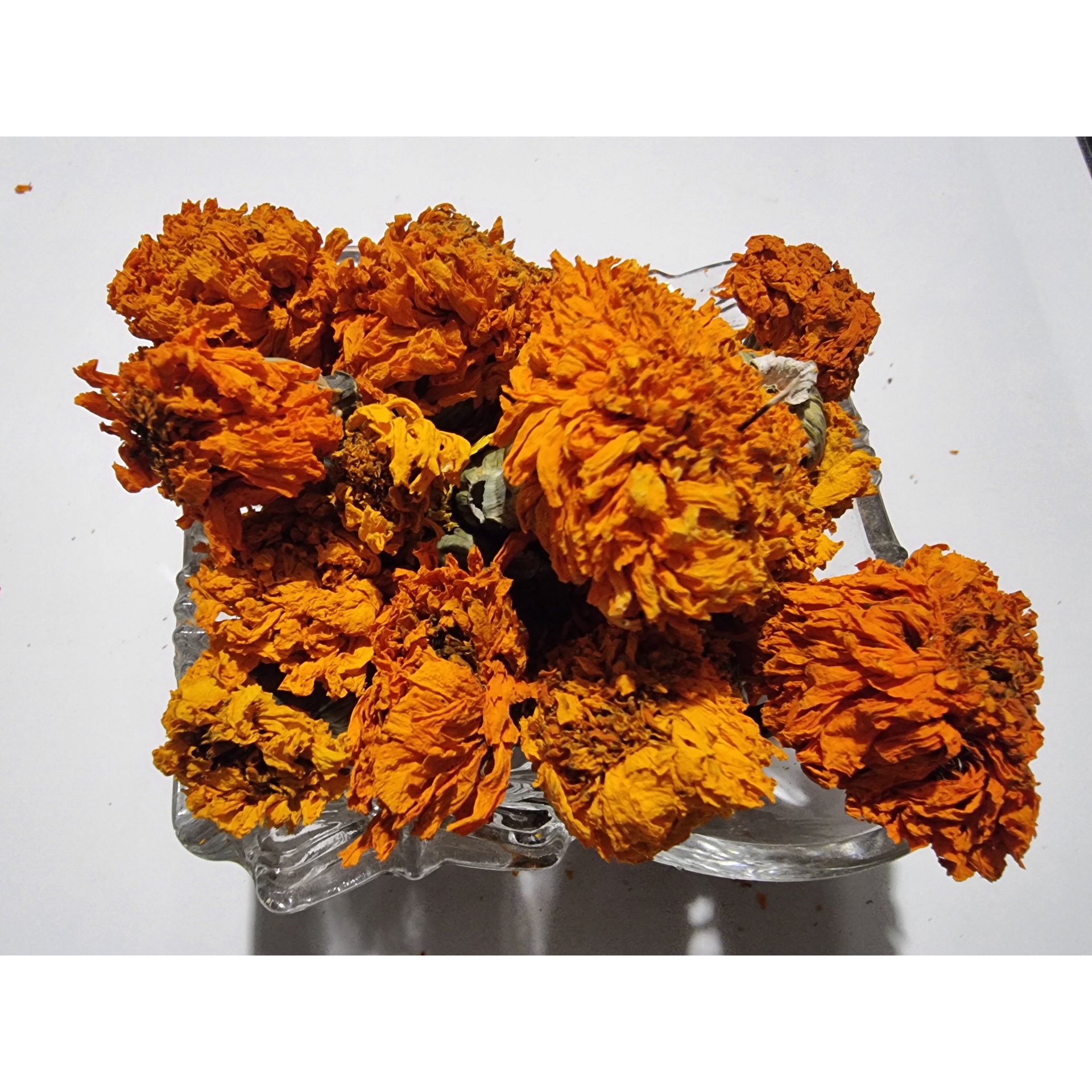 Marigold Flowers