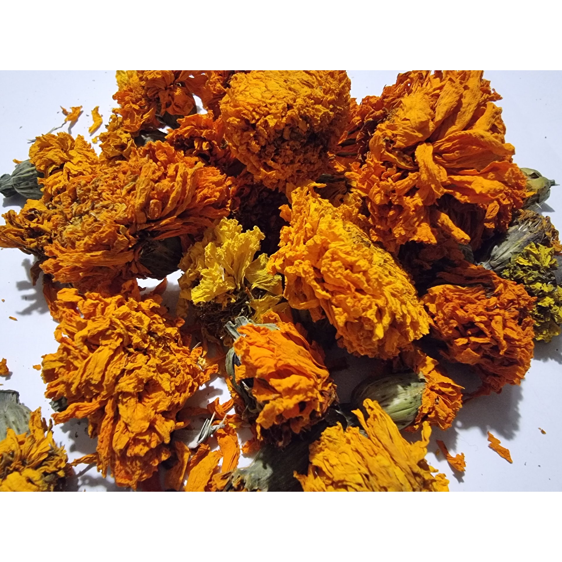 Marigold Flowers