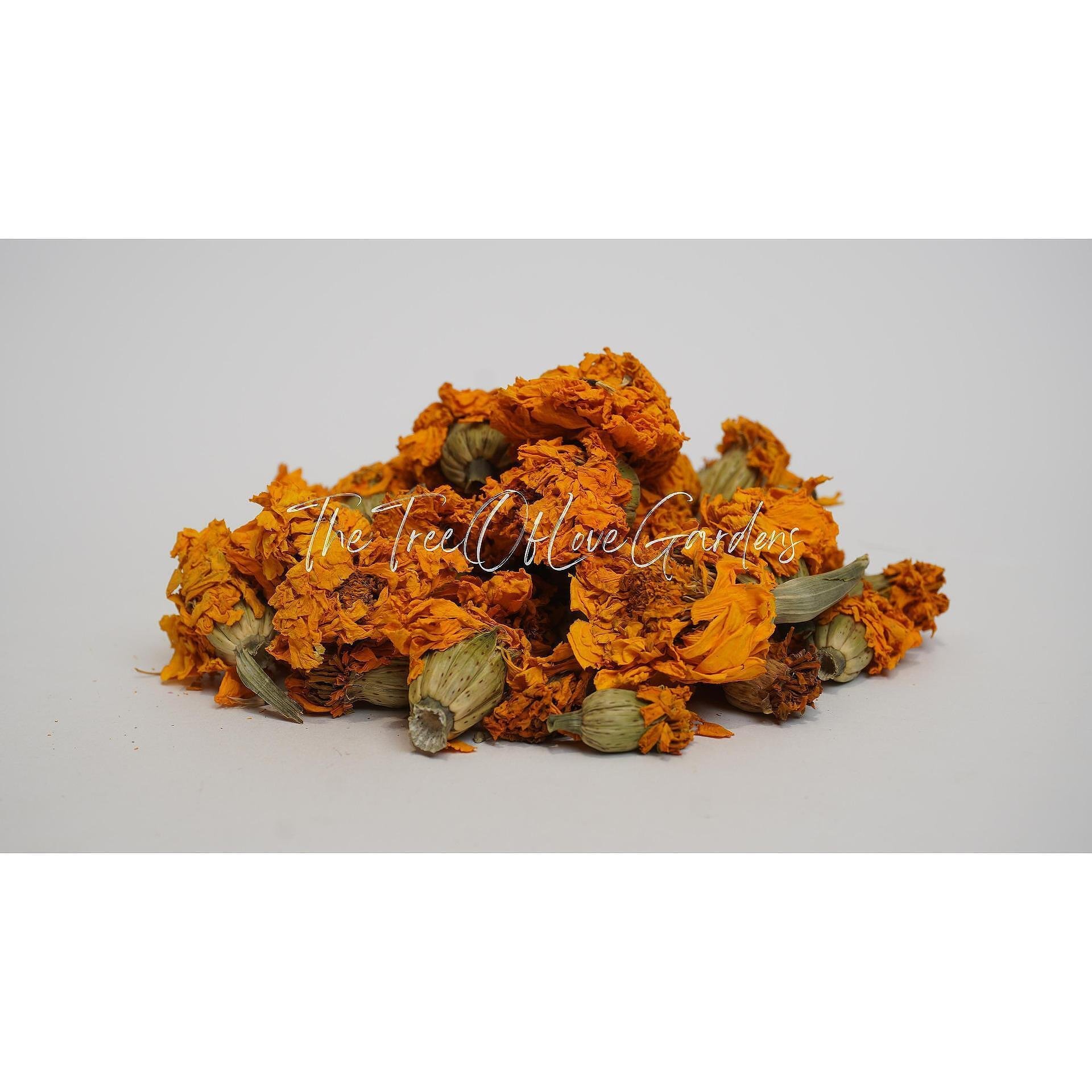 Marigold Flowers