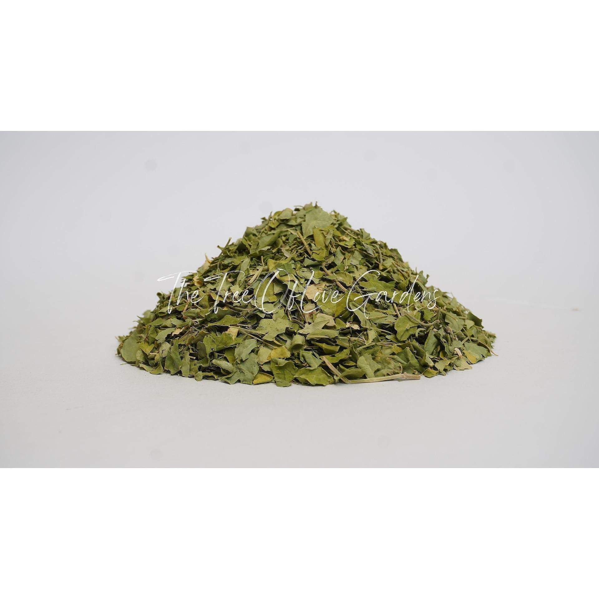 Moringa Leaf