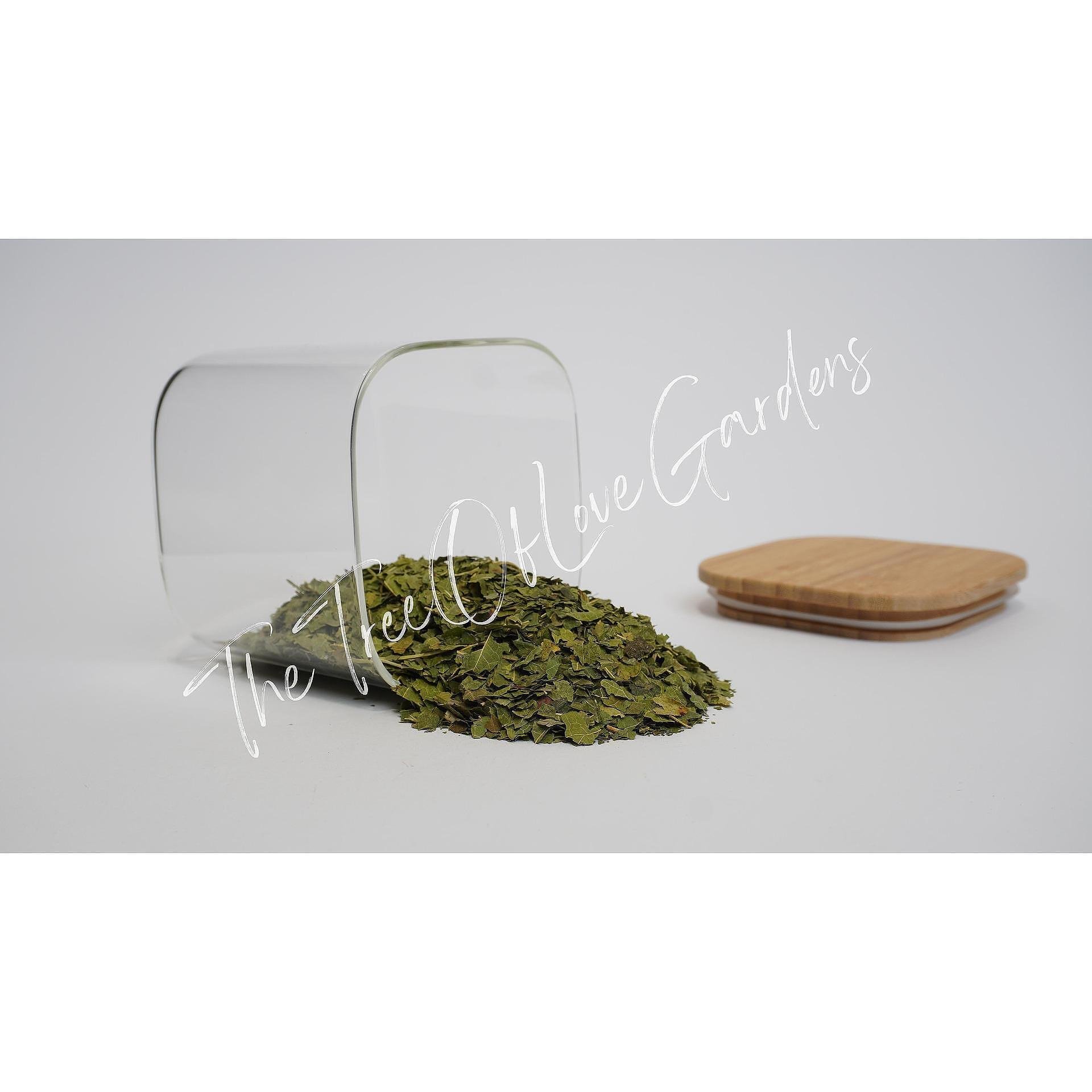 Mulberry Leaf