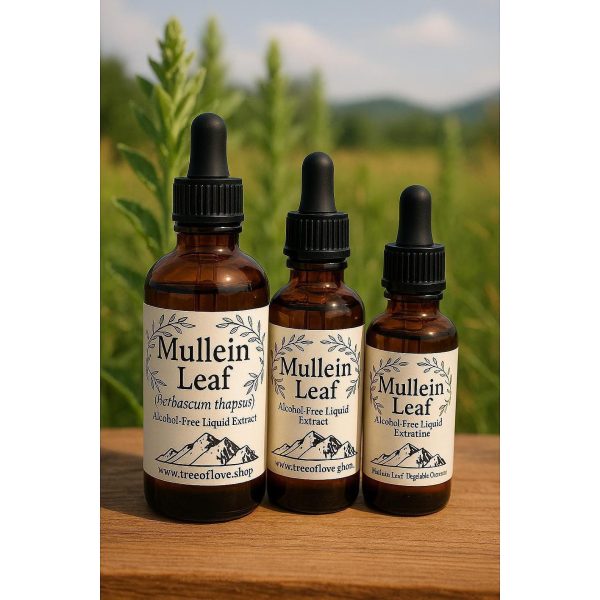 Mullein Leaf Glycerite
