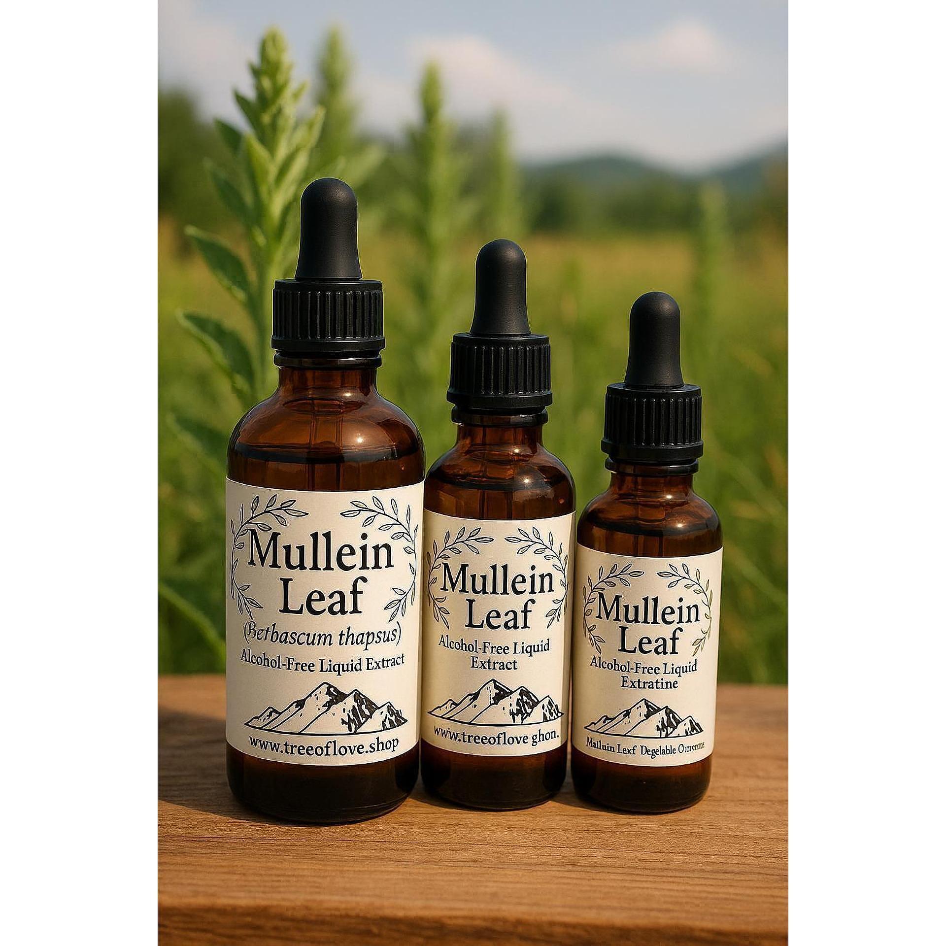 Mullein Leaf Glycerite