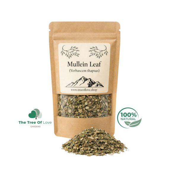 Mullein Tea