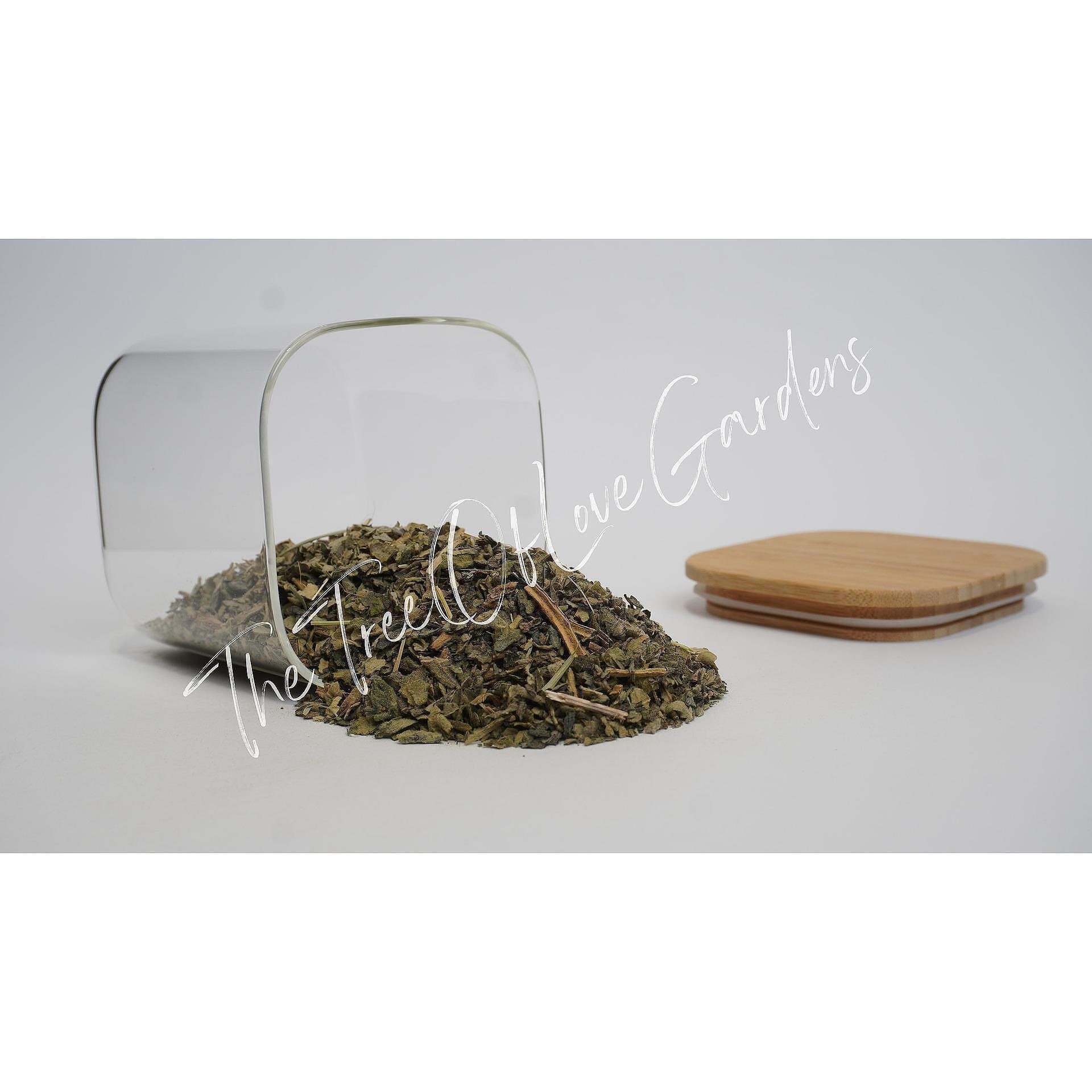 Mullein Tea