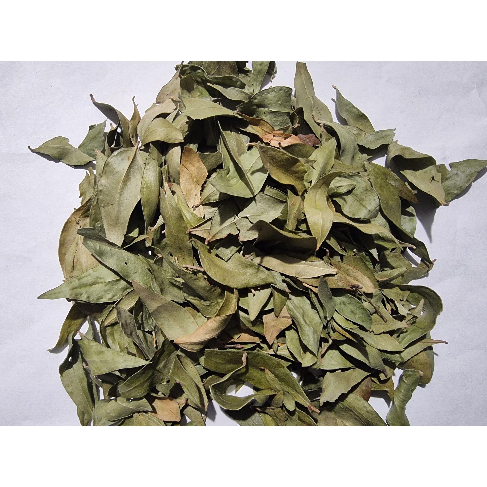 Myrtle Leaf
