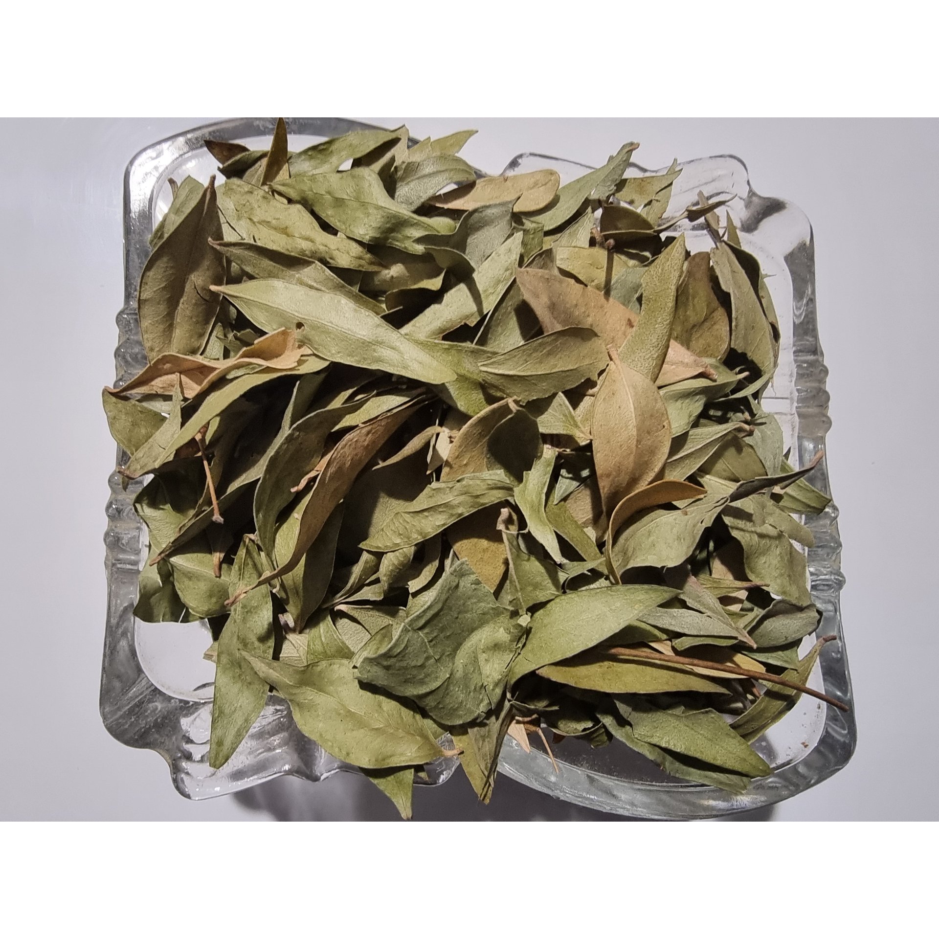 Myrtle Leaf