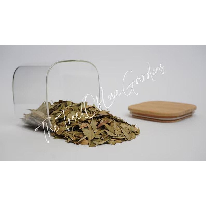 Myrtle Leaf