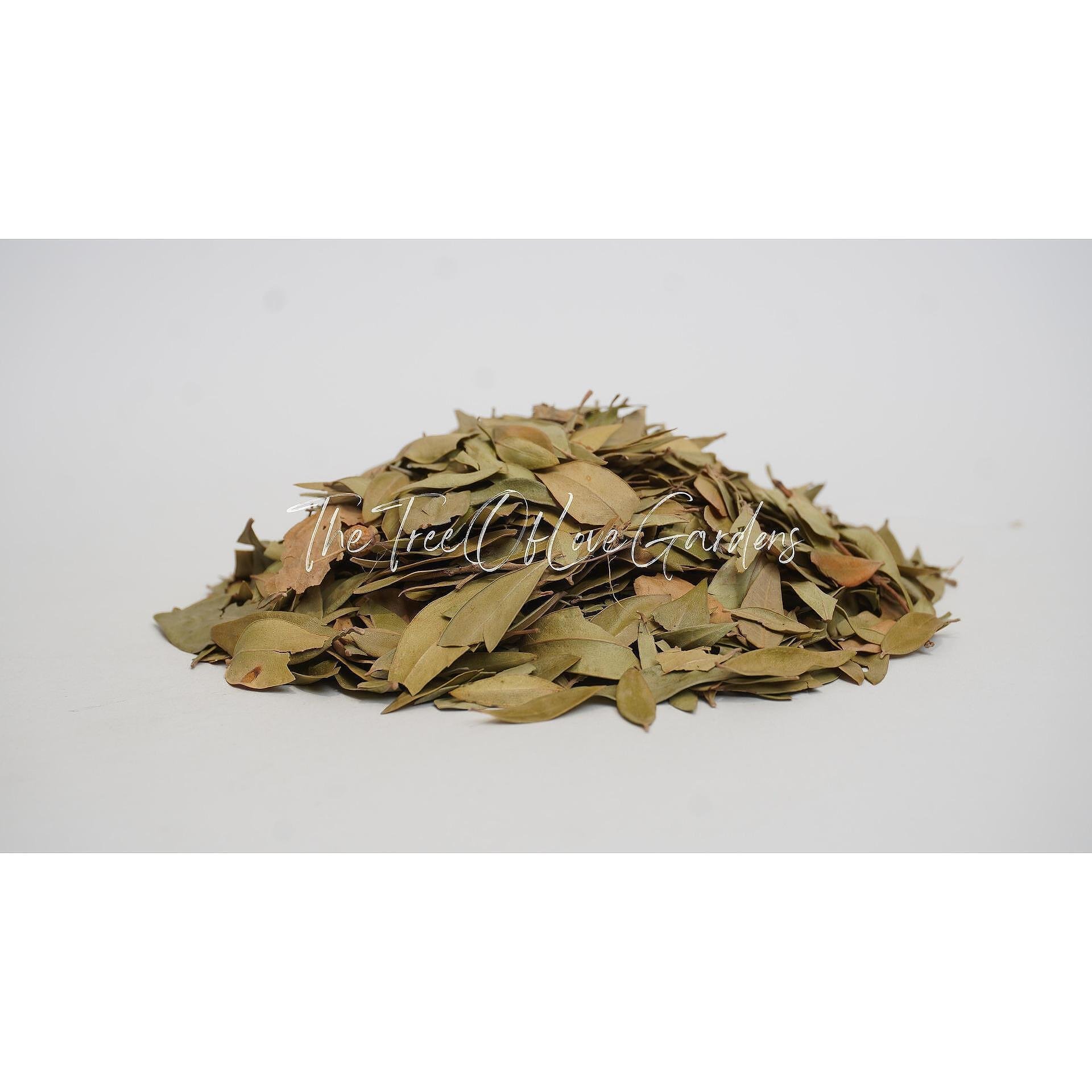 Myrtle Leaf