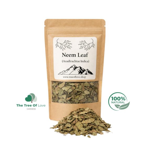 Neem Leaf