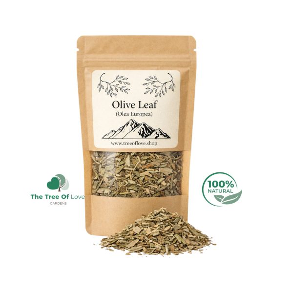 Olive Leaf Cuts