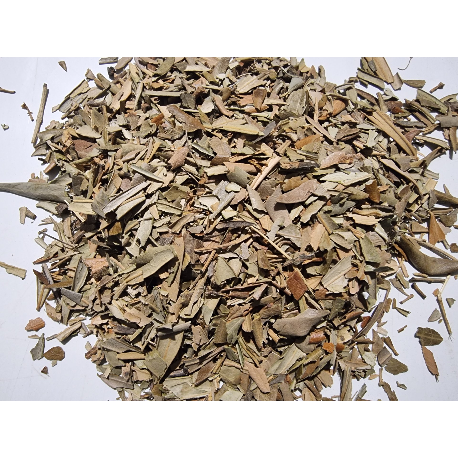 Olive Leaf Cuts