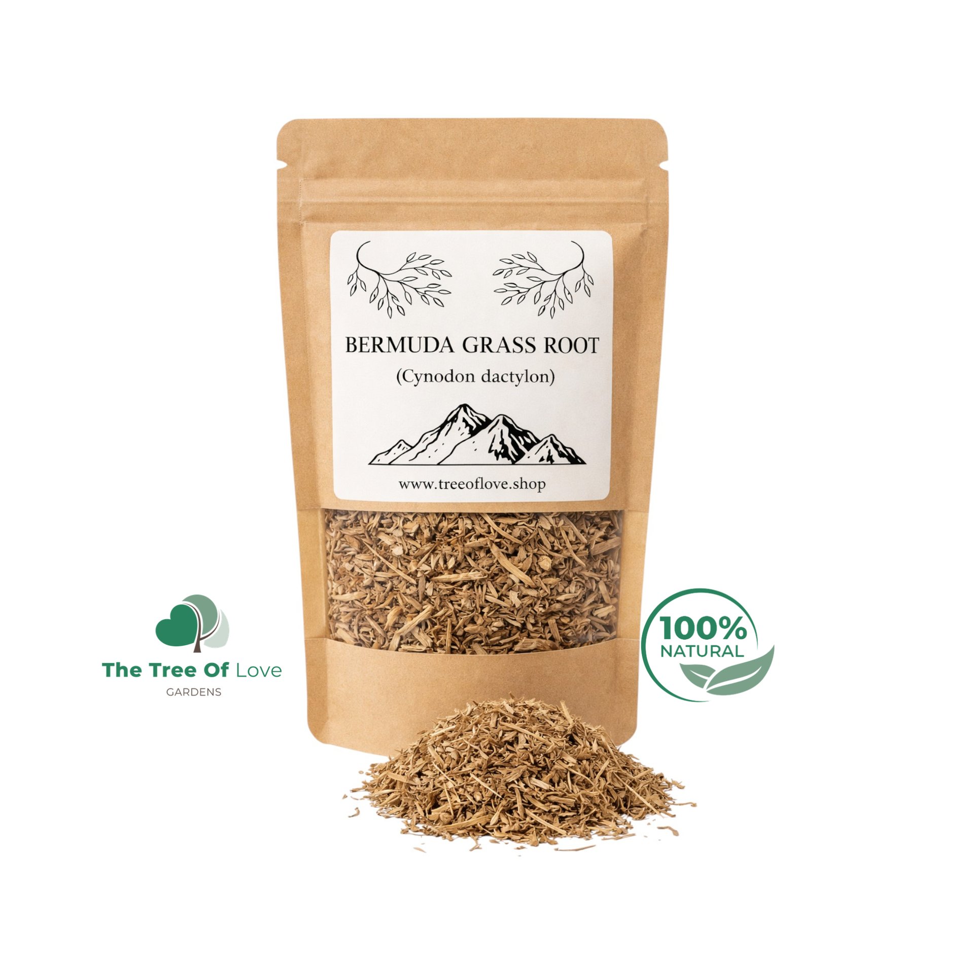 BERMUDA GRASS Root