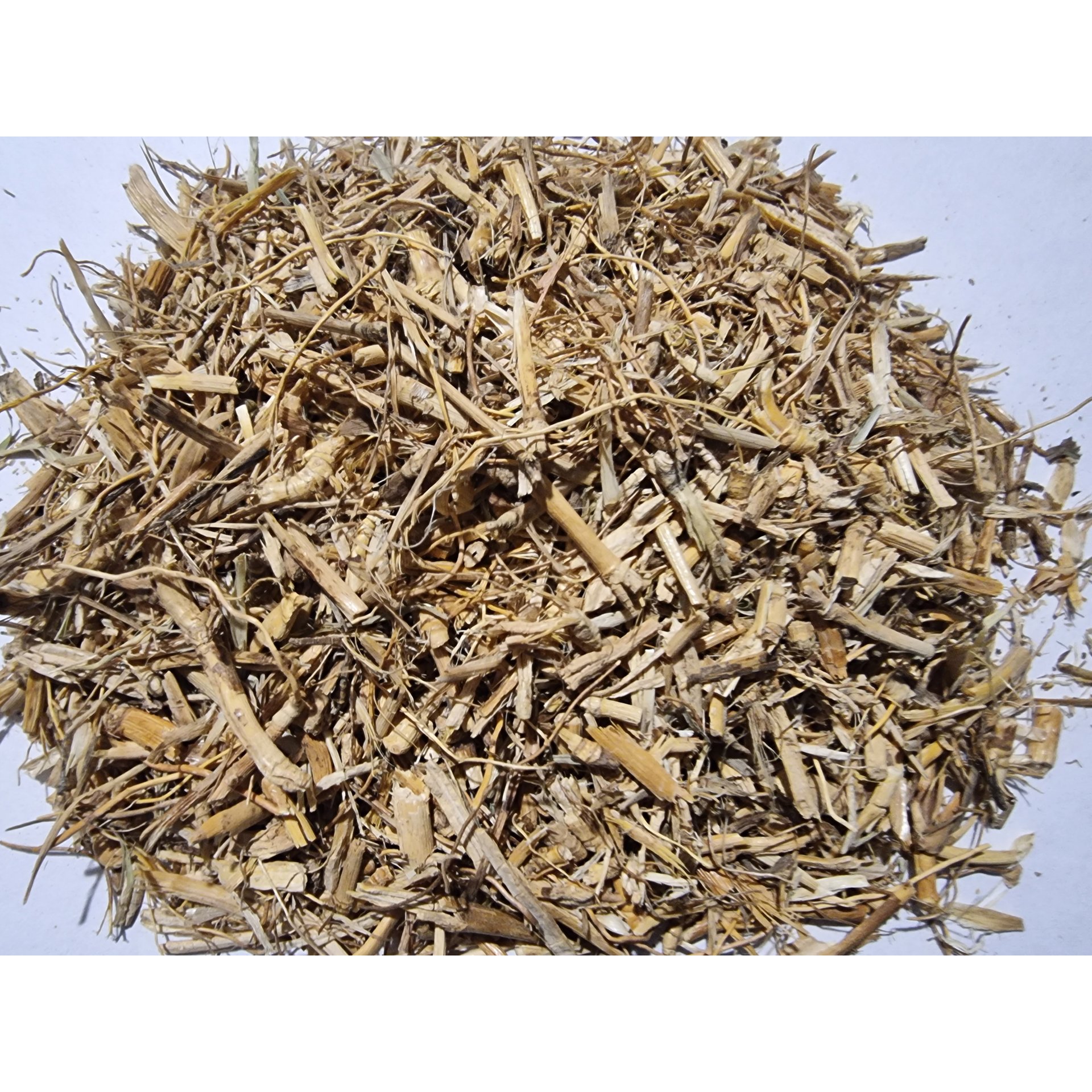 BERMUDA GRASS Root