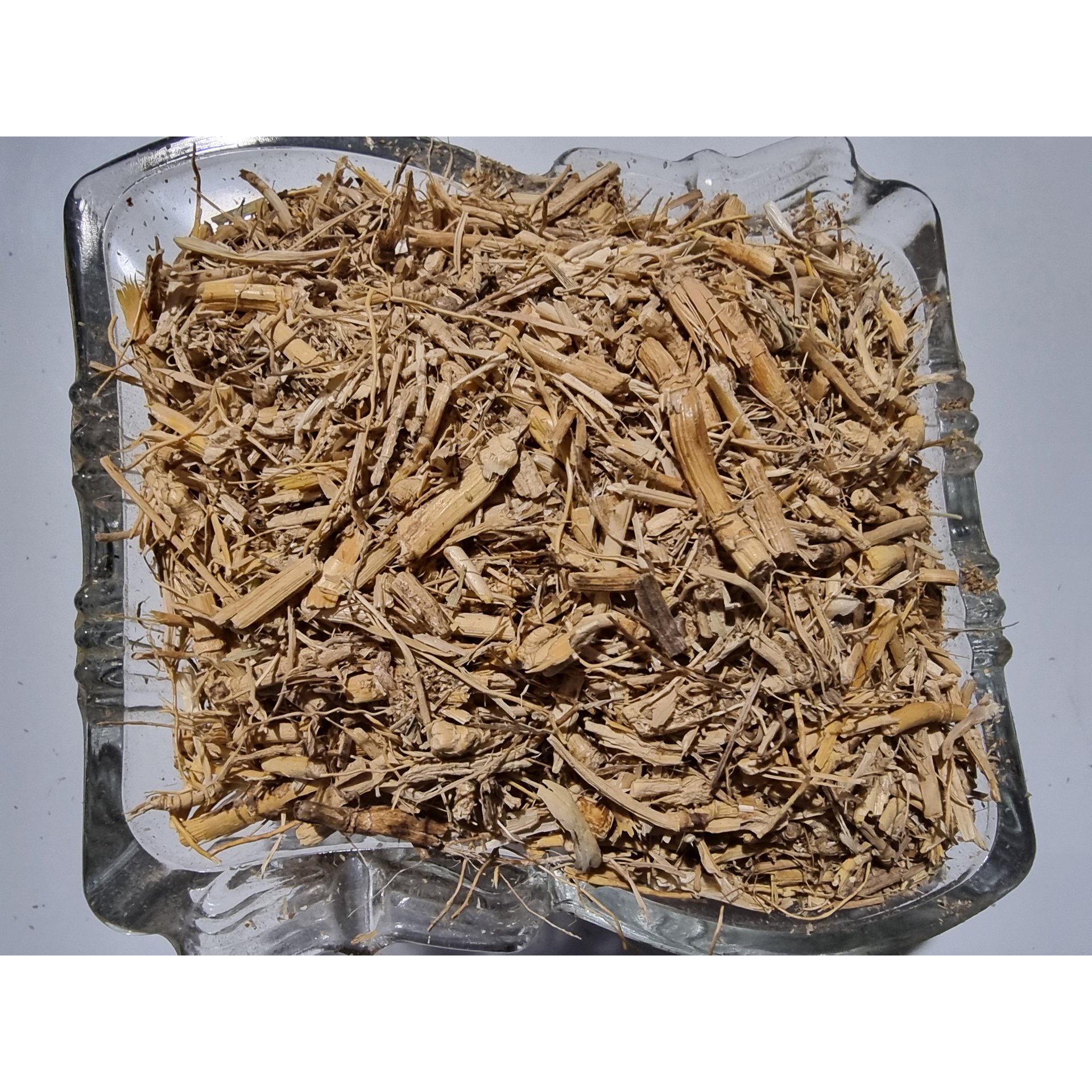 BERMUDA GRASS Root