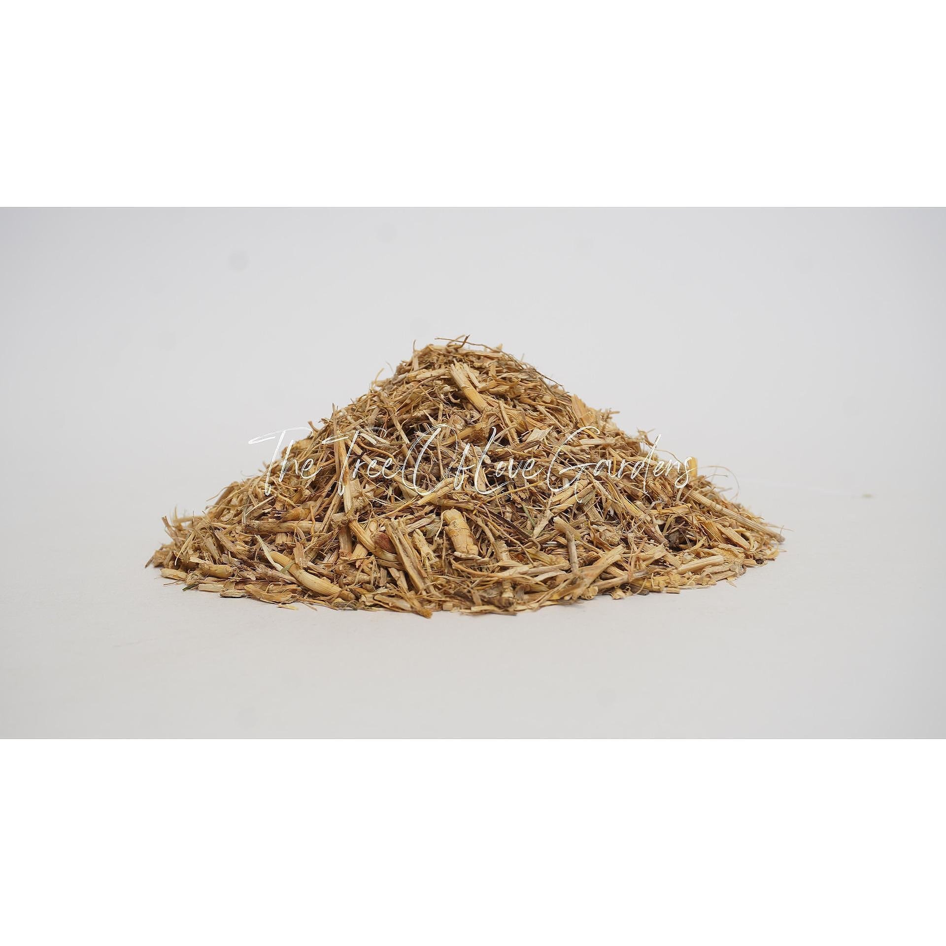BERMUDA GRASS Root