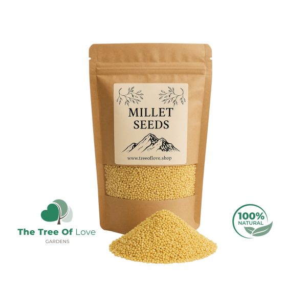 Millet Seeds