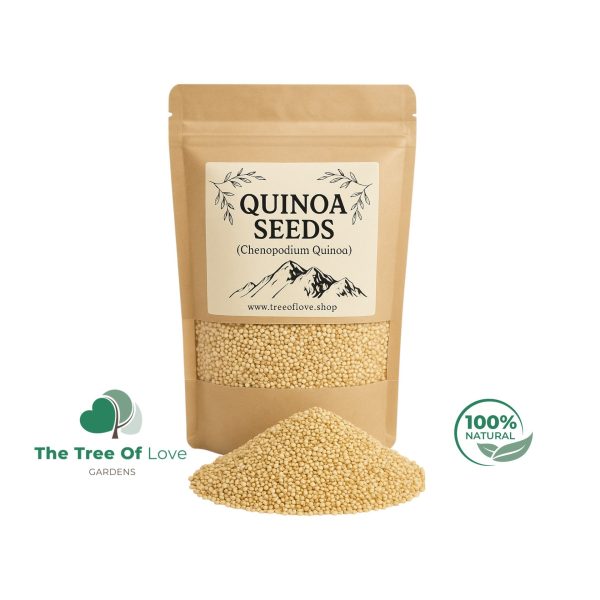 Quinoa Seeds