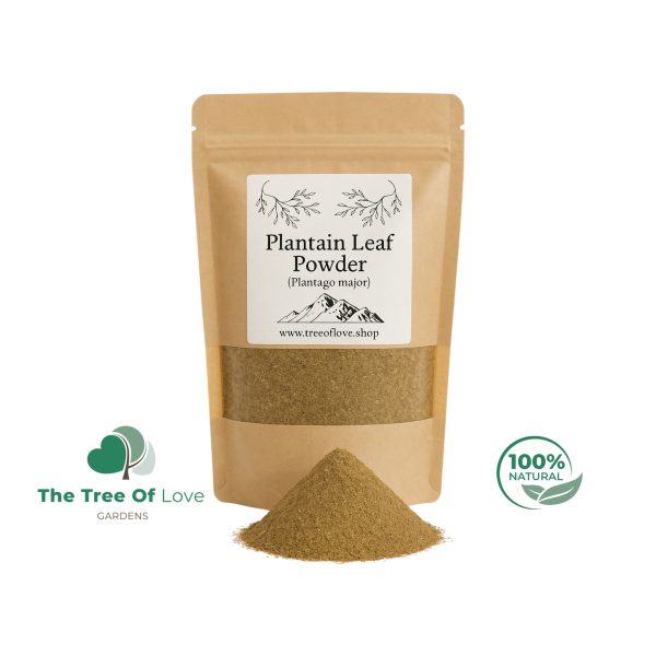 Plantain Leaf Powder