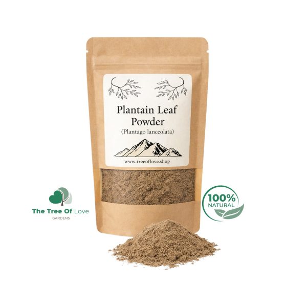 Plantain Leaf Powder
