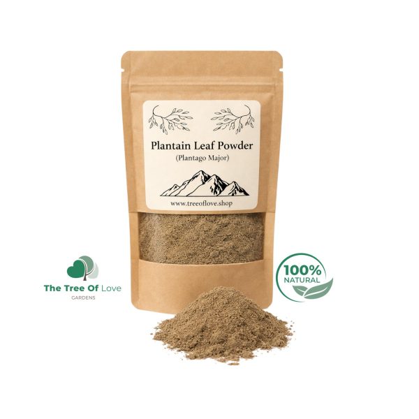 Plantain Leaf Powder